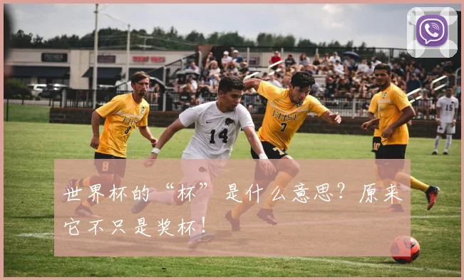 世界杯的“杯”是什么意思？原来它不只是奖杯！