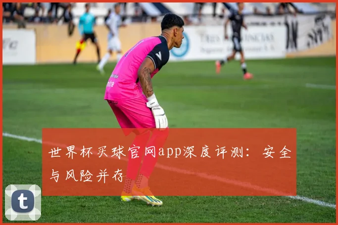 世界杯买球官网app深度评测：安全与风险并存